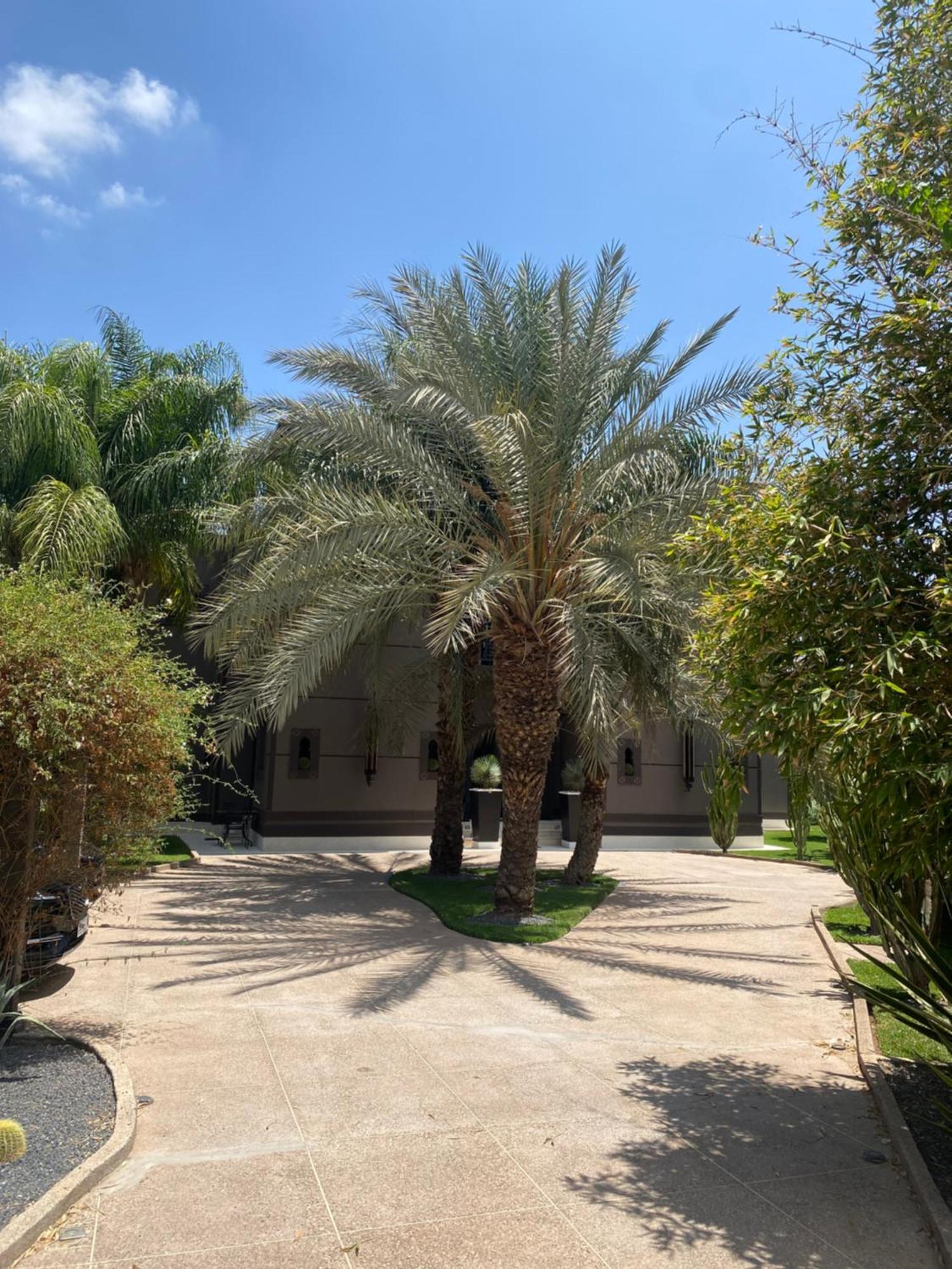Villa Mano Lagouassem Εξωτερικό φωτογραφία