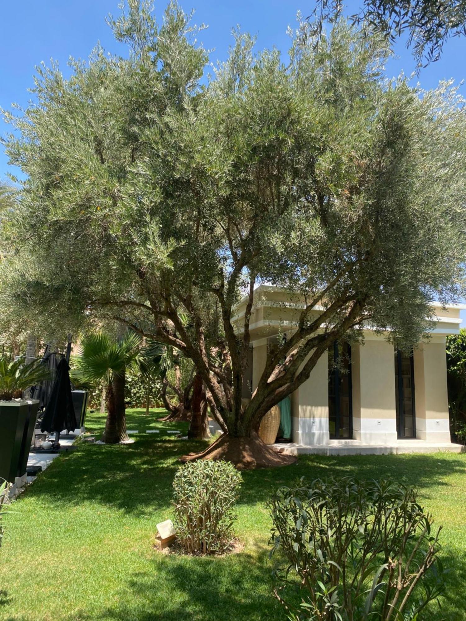 Villa Mano Lagouassem Εξωτερικό φωτογραφία