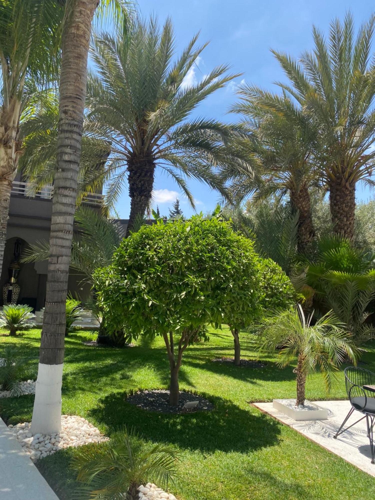 Villa Mano Lagouassem Εξωτερικό φωτογραφία